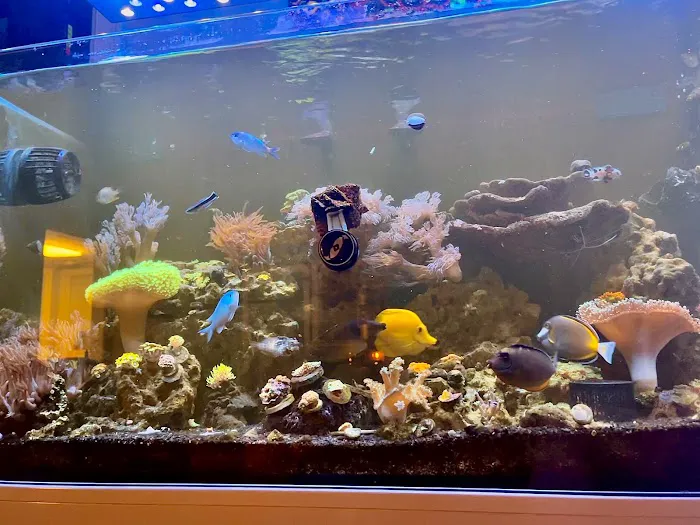 Zac's Reef Picture 2
