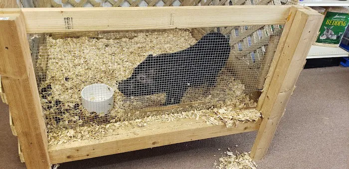 Two Guyz Pet Shop Picture 4