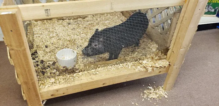 Two Guyz Pet Shop Picture 6
