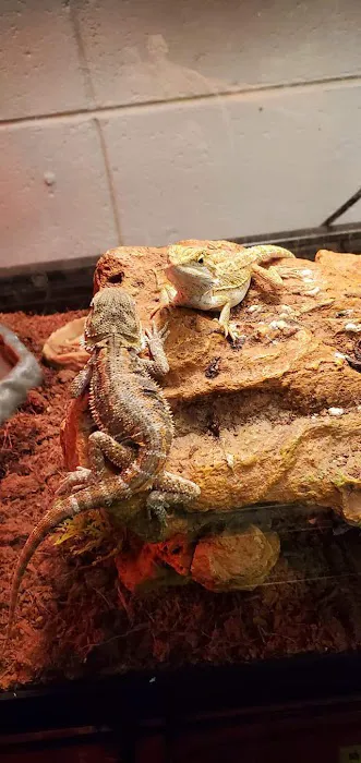 Two Guyz Pet Shop Picture 9