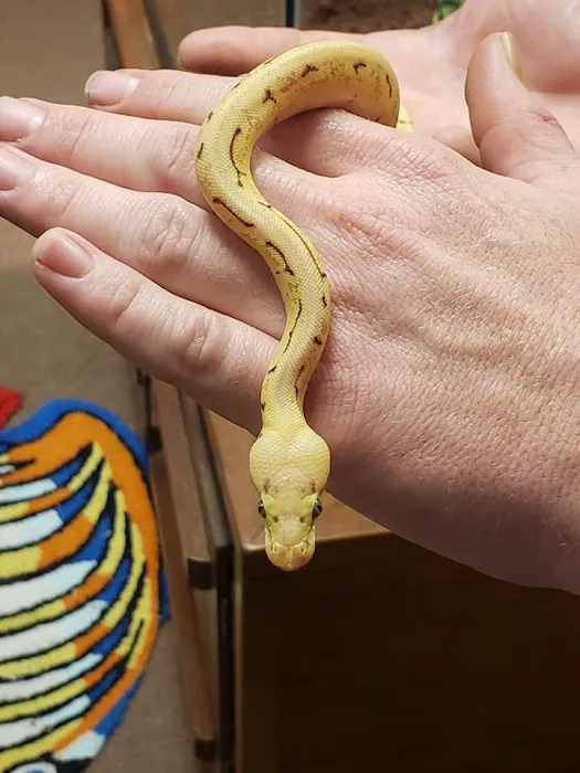 Two Guyz Pet Shop Picture 8