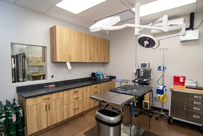 Warm & Fuzzy Veterinary Center Picture 2