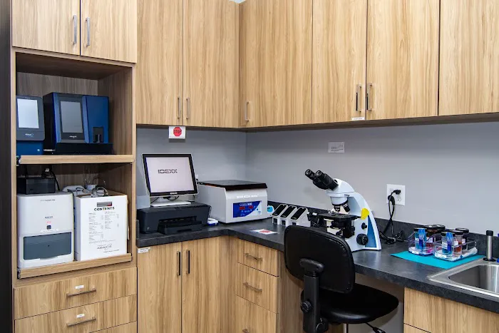 Warm & Fuzzy Veterinary Center Picture 3