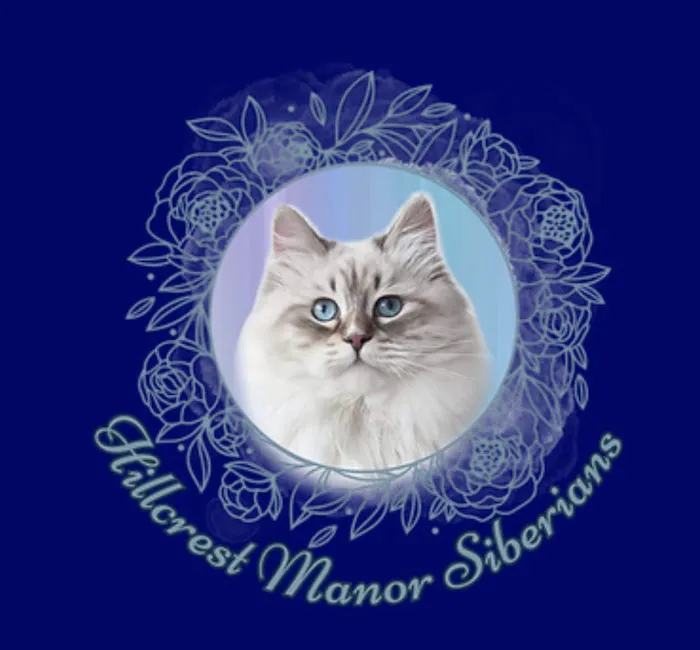 Hillcrest Manor Siberians of MD Picture 6
