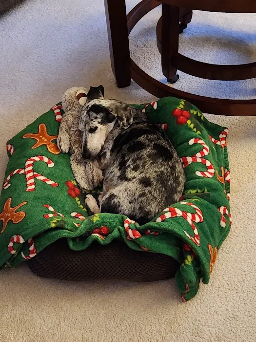 Tlc For Pets Picture 5