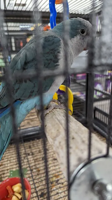 Pet Supermarket Picture 3