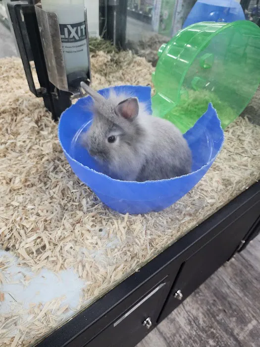 Pet Supermarket Picture 7
