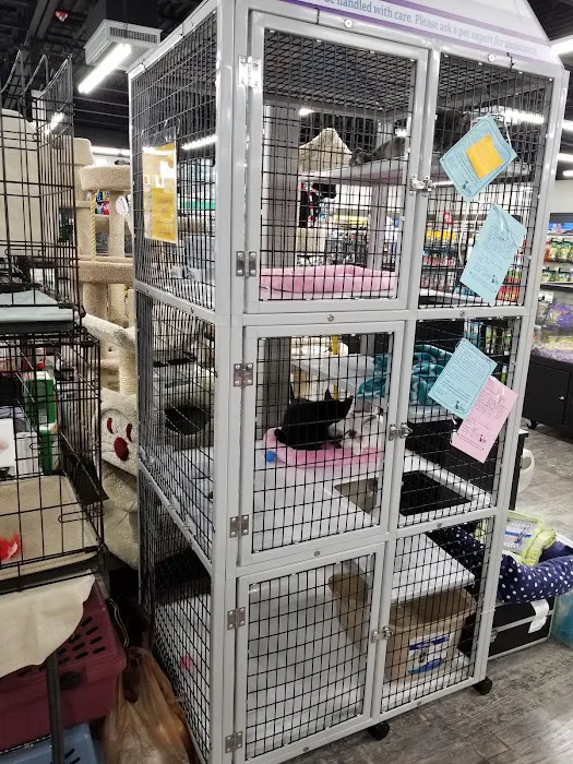 Pet Supermarket Picture 10