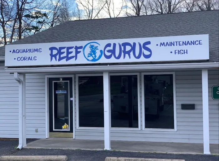 Reef Gurus Picture 1