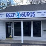 Reef Gurus