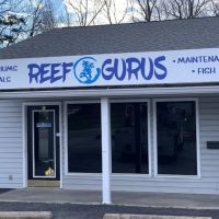 Reef Gurus ico