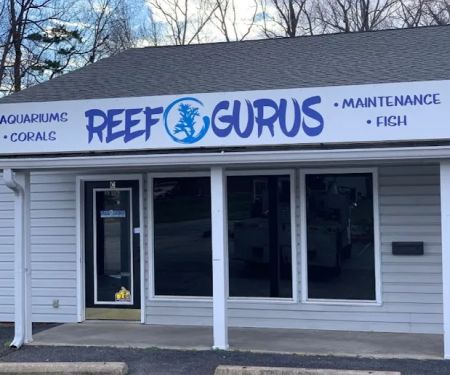 Reef Gurus