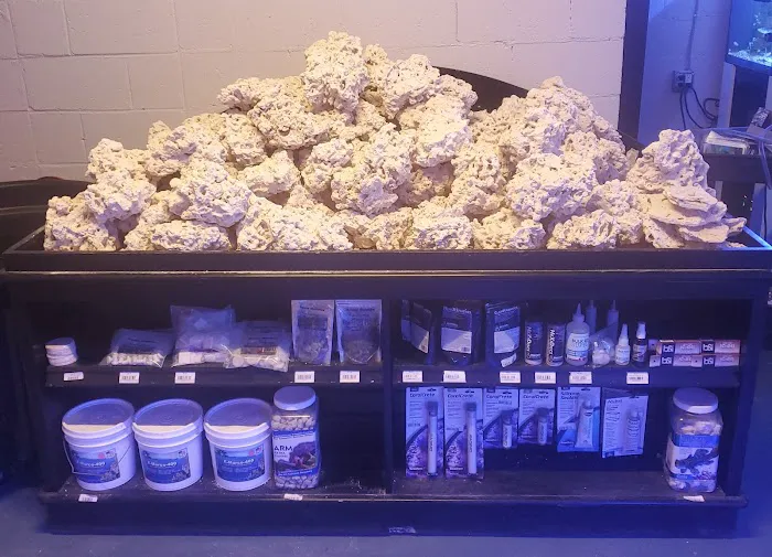 Reef Gurus Picture 8