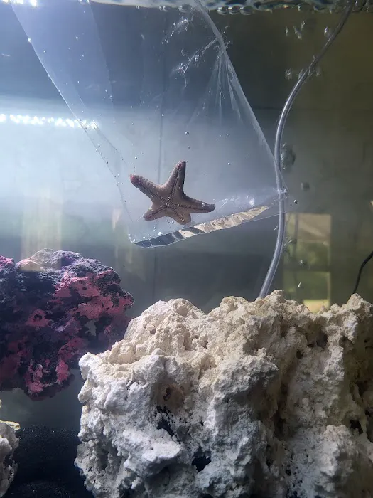 Reef Gurus Picture 9