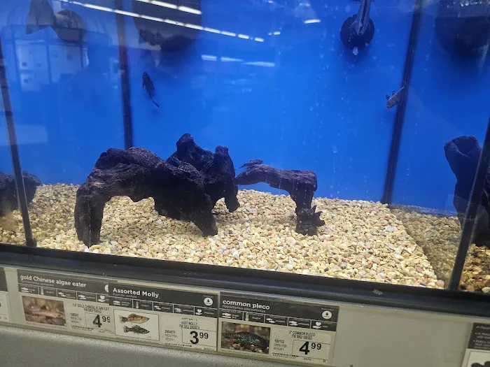Petco Picture 2