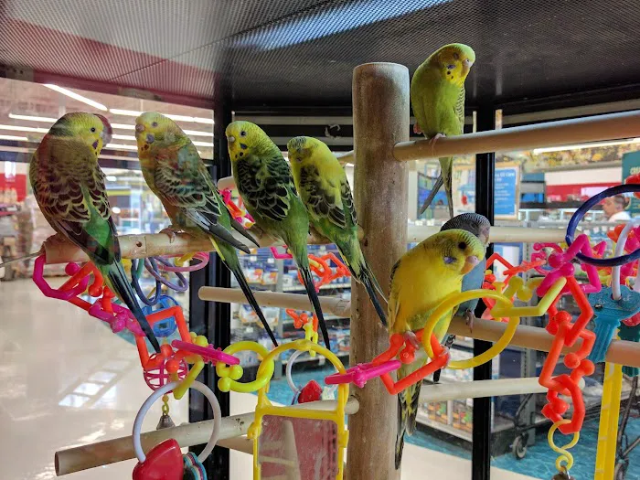 Petco Picture 1