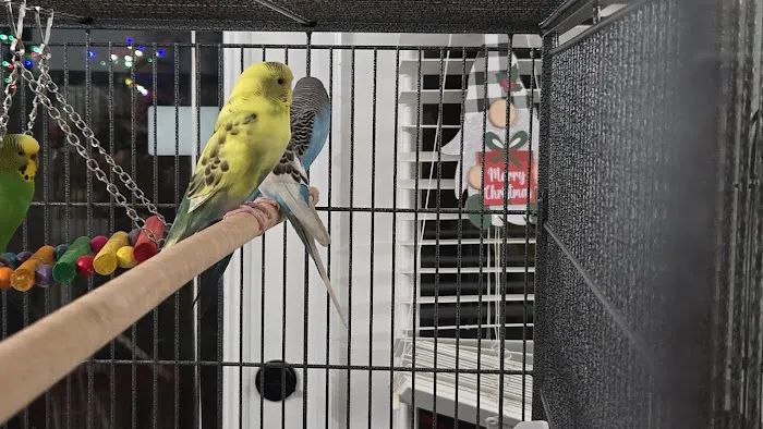 Petco Picture 3
