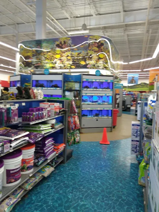 Petco Picture 4
