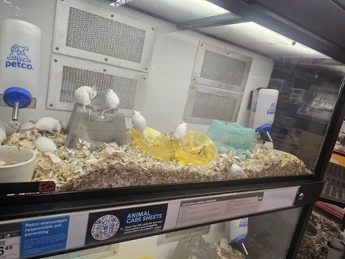 Petco Picture 5