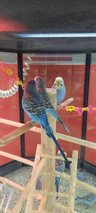 Petco Picture 8