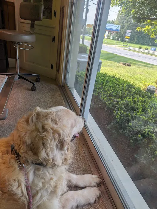 Route 140 Veterinary Hospital Inc: Flick Farle W DVM Picture 1