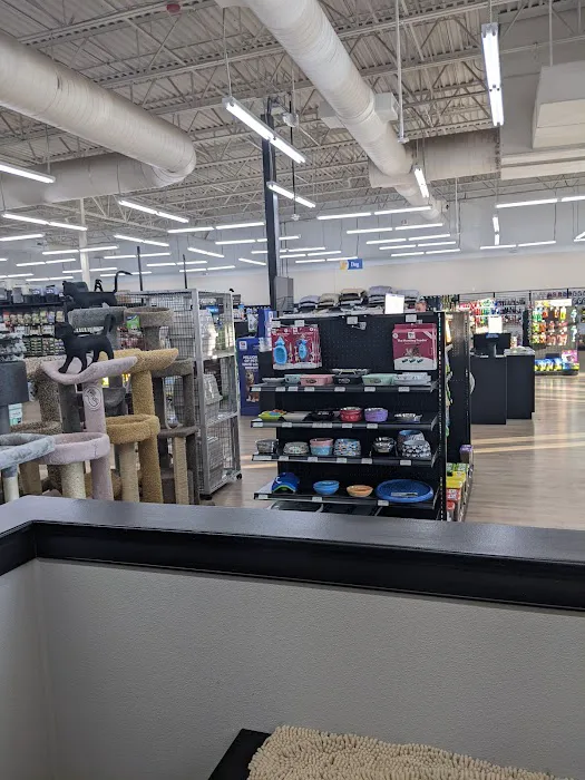 Pet Supermarket Picture 8