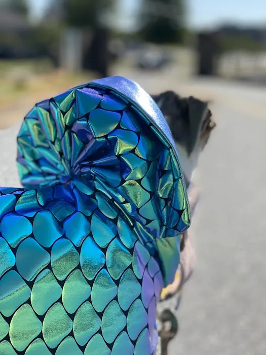 Le Dog Wear Picture 4