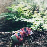 Le Dog Wear ico