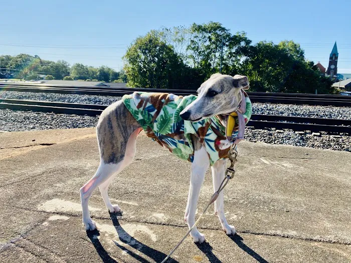 Le Dog Wear Picture 6