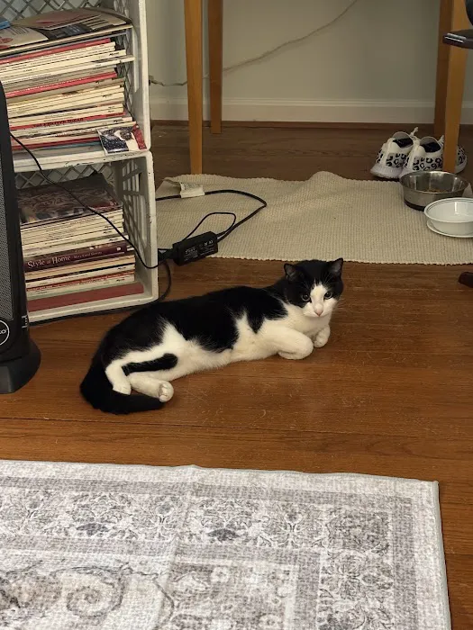 Finksburg Veterinary Center (Mobile/House calls) Picture 7
