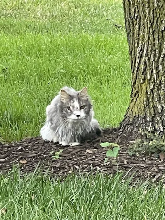Finksburg Veterinary Center (Mobile/House calls) Picture 9