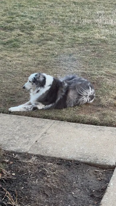 Finksburg Veterinary Center (Mobile/House calls) Picture 6
