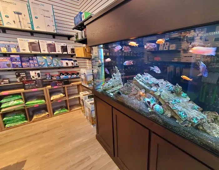 Ocean's Floor, LLC. Picture 9