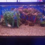 Ocean's Floor, LLC.
