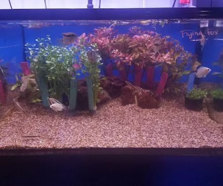 Ocean's Floor, LLC.