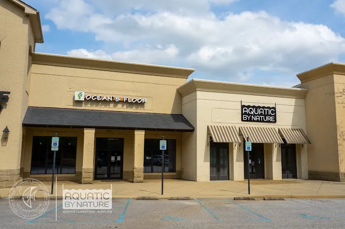 Ocean's Floor, LLC. Picture 5