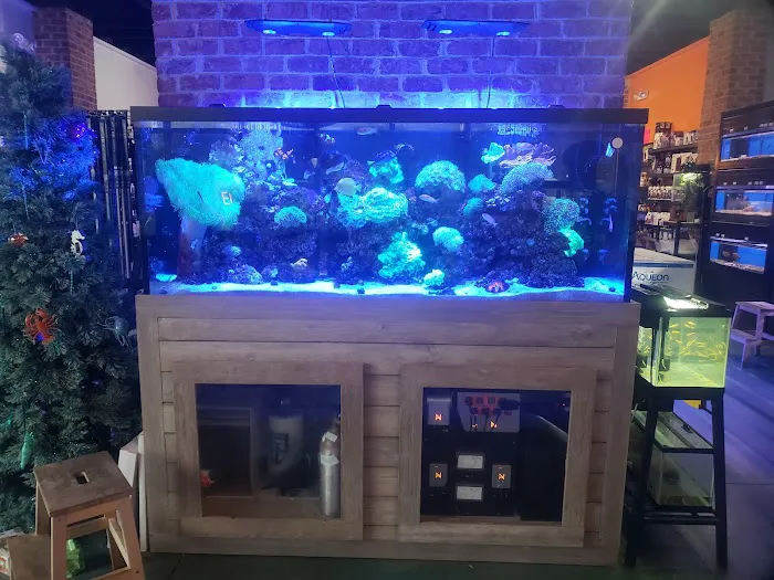 Ocean's Floor, LLC. Picture 2