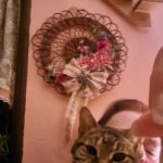 North Carroll Veterinary Services