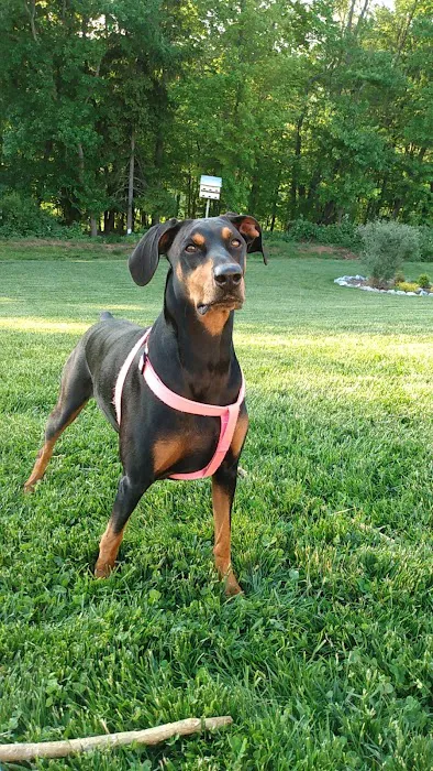 North Carroll Veterinary Services Picture 5