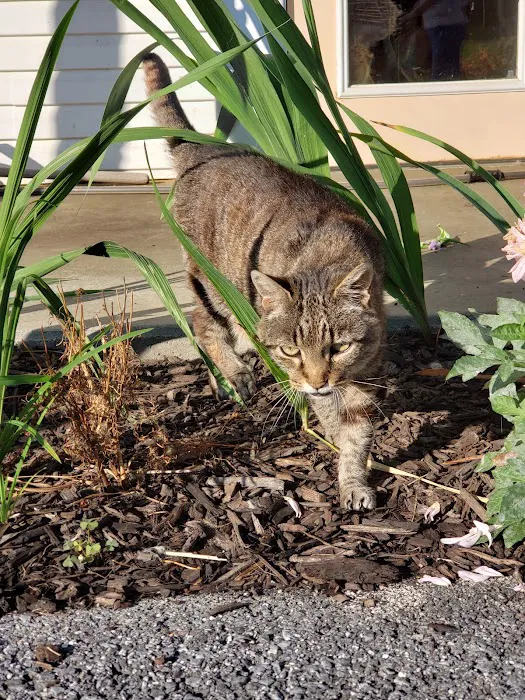 North Carroll Veterinary Services Picture 10
