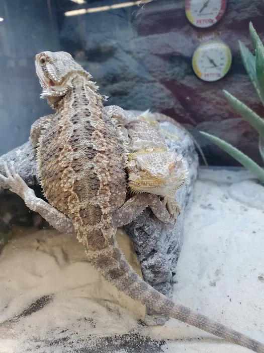 Petco Picture 5