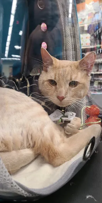 Petco Picture 7