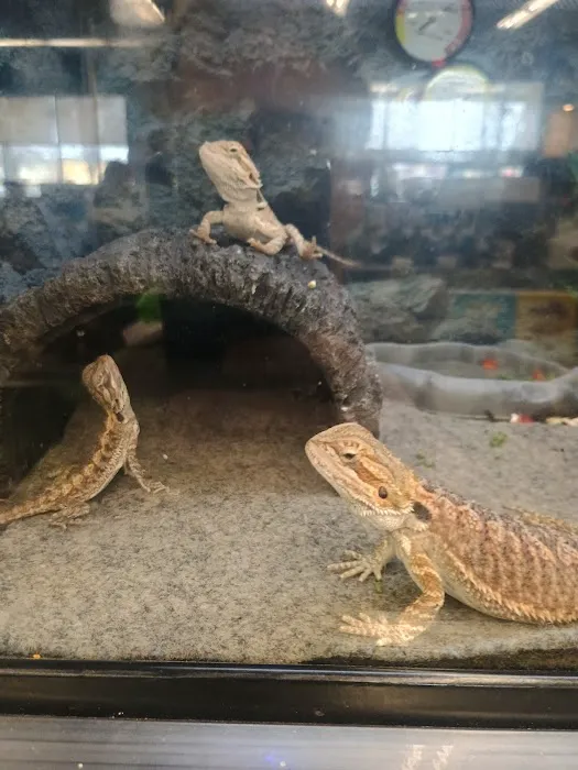 Petco Picture 1