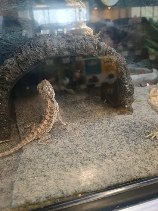 Petco Picture 6