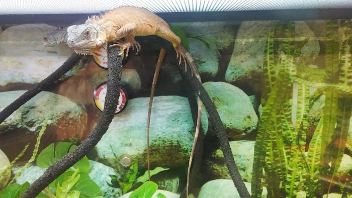 Petco Picture 8
