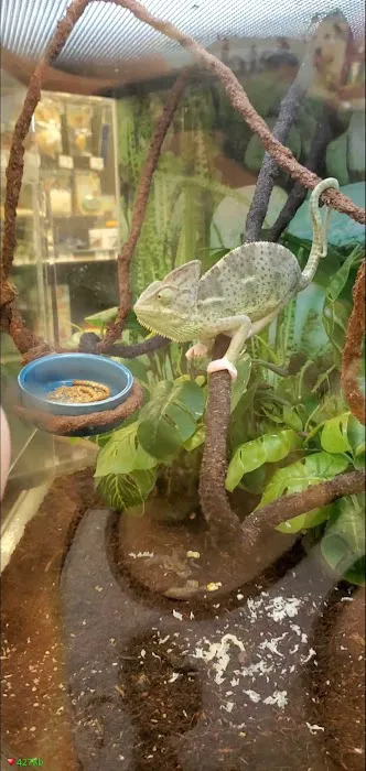 Petco Picture 9
