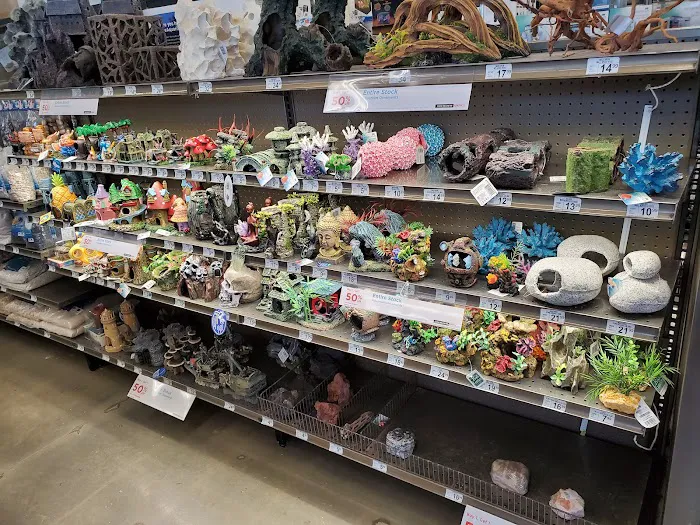 Petco Picture 10