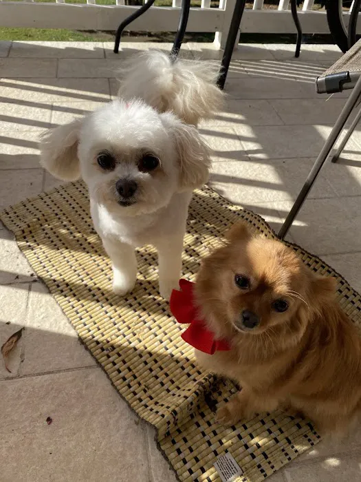 EarthWise Pet Supply & Grooming Picture 9