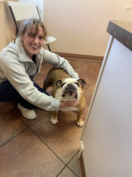 Bay Area Veterinary Hospital Picture 5