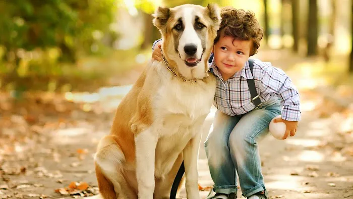 Bay Area Veterinary Hospital Picture 2